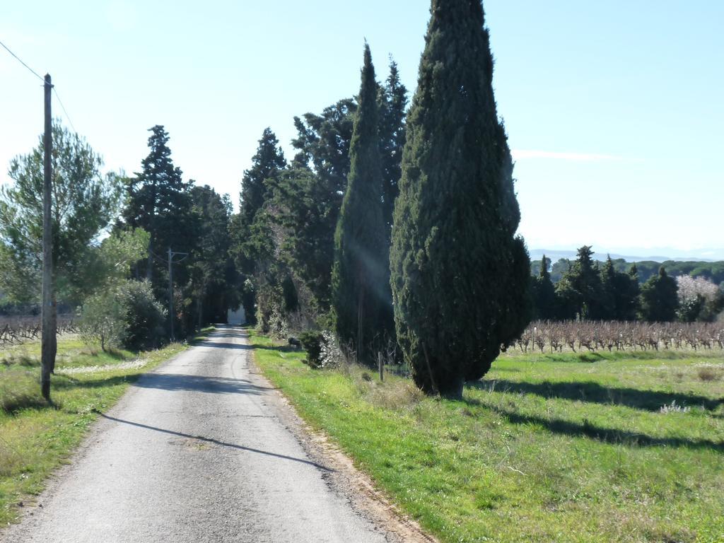 Chateau La Bouriette Moussoulens Экстерьер фото